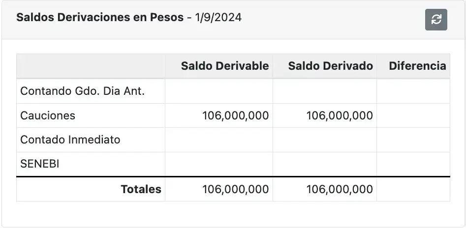 Saldos Derivaciones